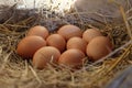 Close-upÃ¢â¬â¹ ofÃ¢â¬â¹ fresh chicken eggs with nestÃ¢â¬â¹ inÃ¢â¬â¹ theÃ¢â¬â¹ woodÃ¢â¬â¹enÃ¢â¬â¹ box, A pile of brown eggs in a nest. Royalty Free Stock Photo